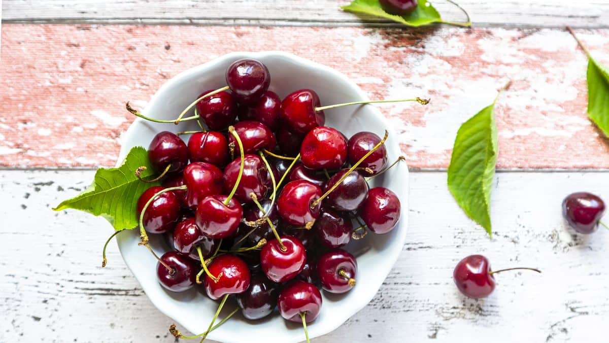 diferencia entre cereza y guinda campo grande peru lima y provincias