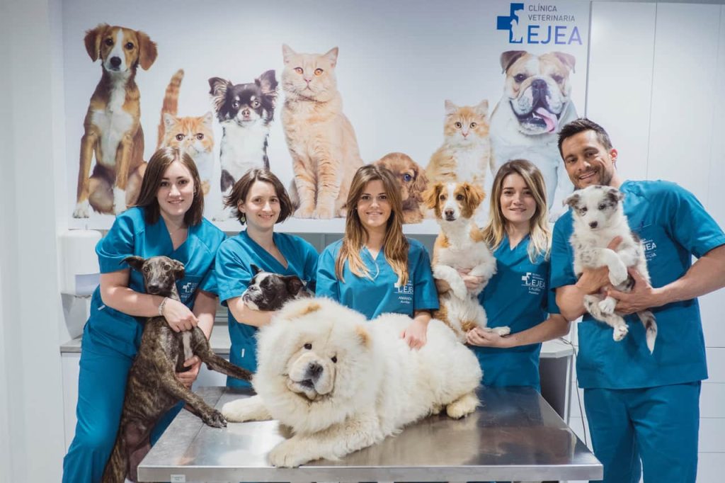 nombres de veterinarias campo grande peru lima y provincias
