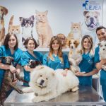 nombres de veterinarias campo grande peru lima y provincias