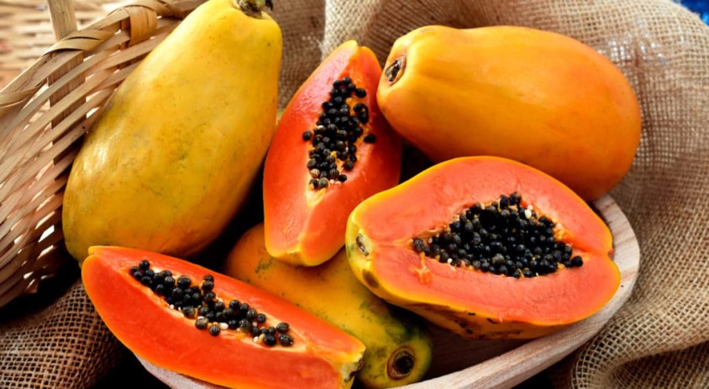tipos de papaya campo grande peru lima y provincias
