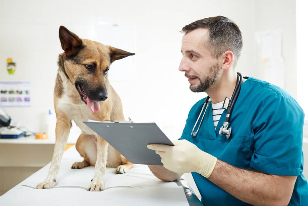 veterinaria emprendimiento