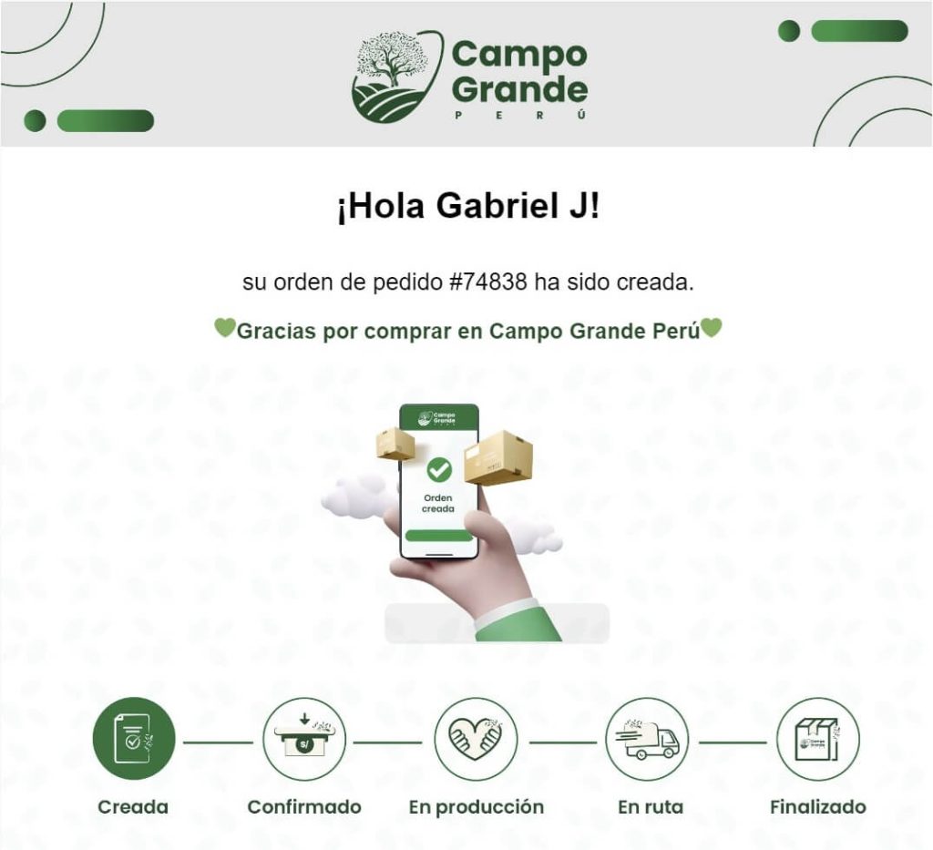 pedido recibido correo por campo grande peru