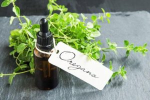 aceite de oregano casero