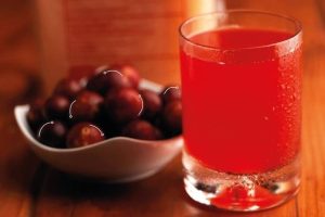 bebidas con camu camu