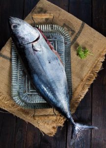 bonito