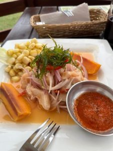 ceviche de cojinova