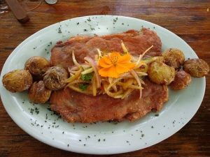 ceviche de cuy