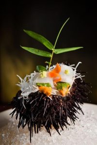 ceviches de erizos peru