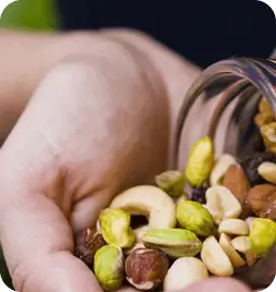 frutos secos