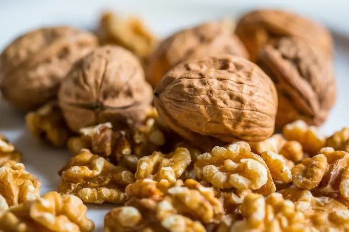 Frutos secos para el cerebro y memoria: Beneficios y Tips