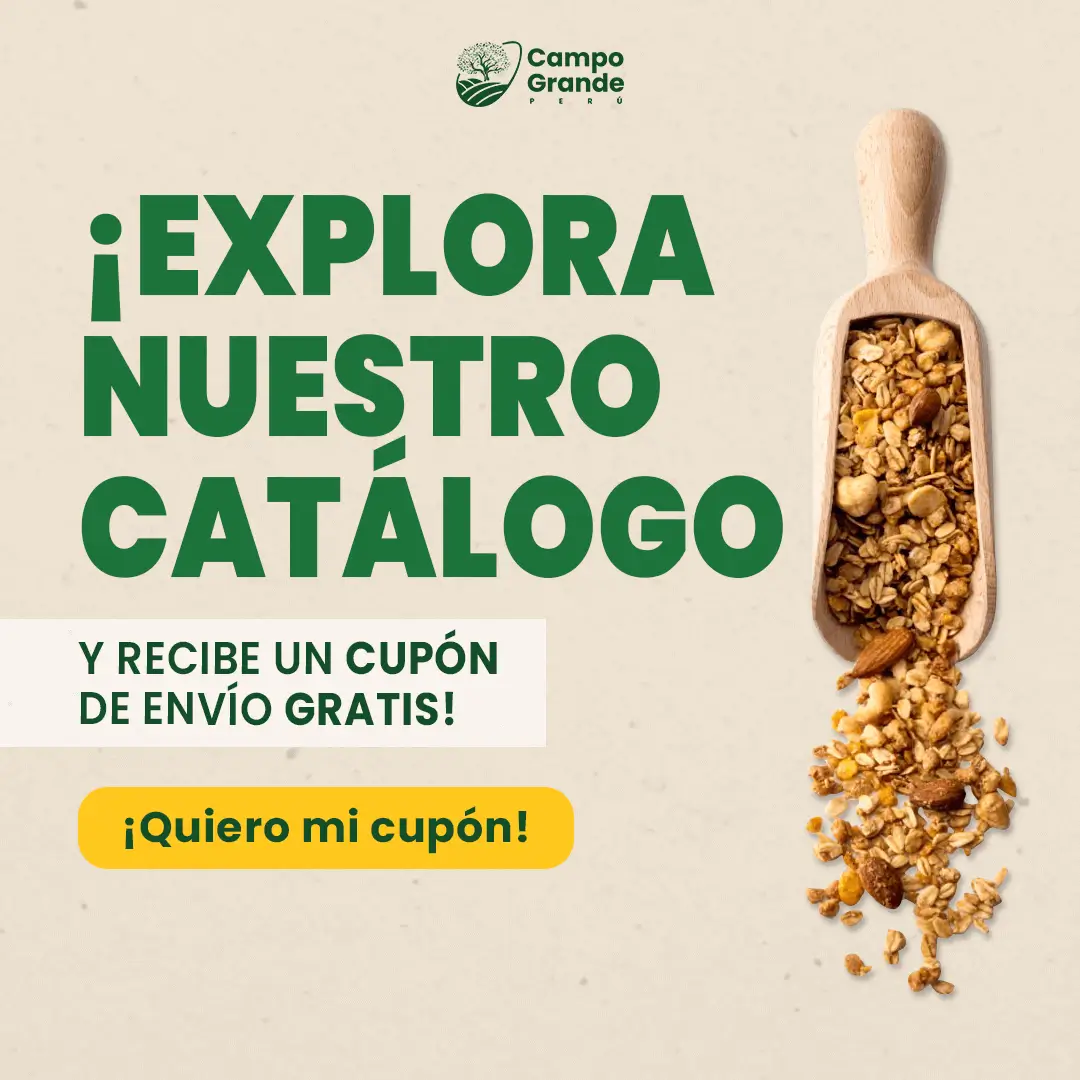 explora nuestro catalogo