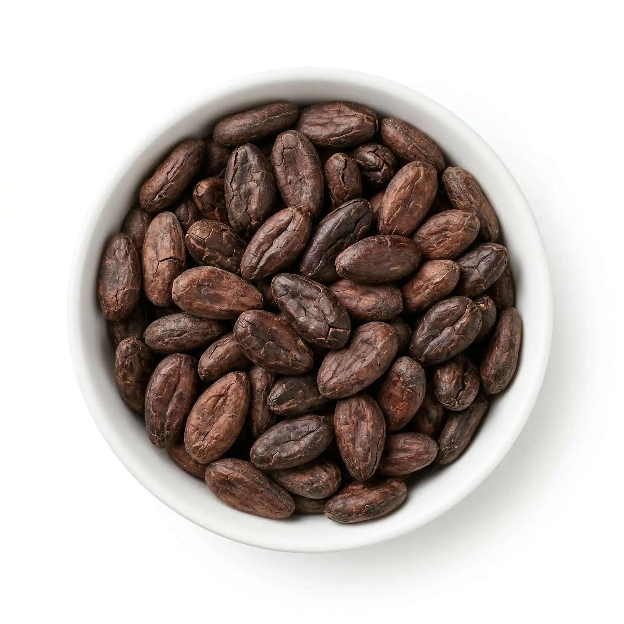 Grano de cacao por mayor y menor