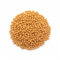 Grano de Mostaza por mayor